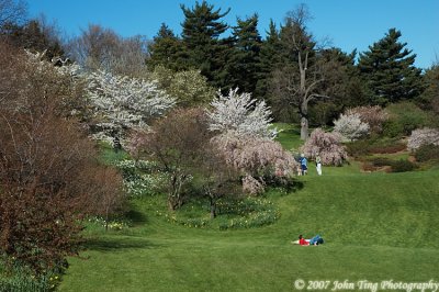 38 : beautiful Highland Park