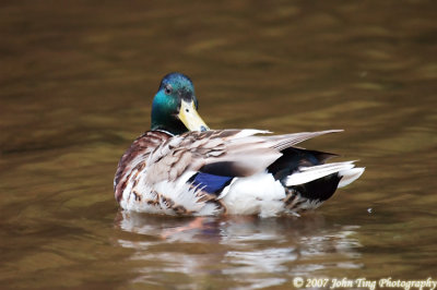 DSC_0029.jpg
