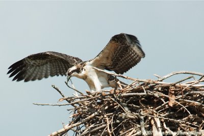 Miscellaneous nature photos