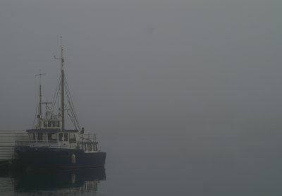 Harbour fog