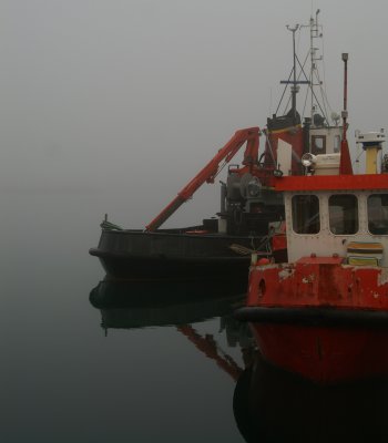 Harbour Fog 1