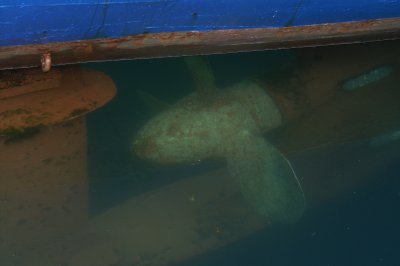 The old propeller
