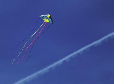 The Kite