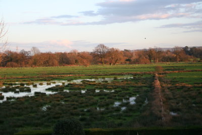 Flooded Field
