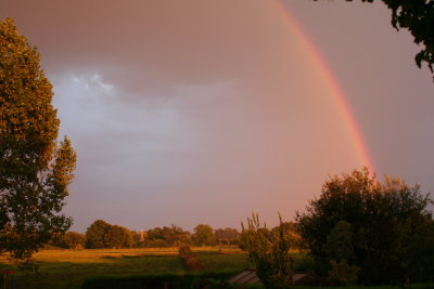 Dividing Rainbow