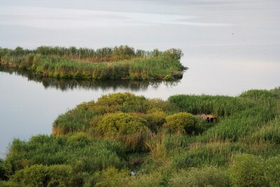 Lake Srebarna  5413