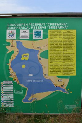Map of Lake Srebarna  5417