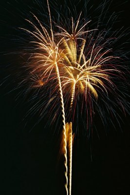 fireworks palm 1020001
