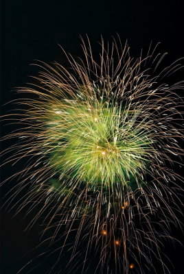 fireworks 1020006