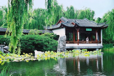 Chinese Garden 1