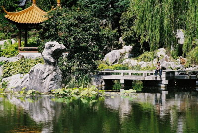 Chinese Garden 4