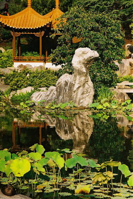 Chinese Garden 9