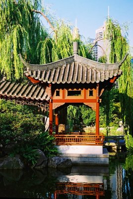 Chinese Garden 11