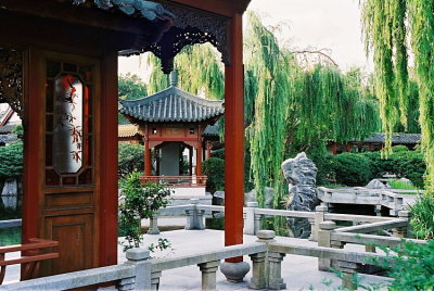 Chinese Garden 12