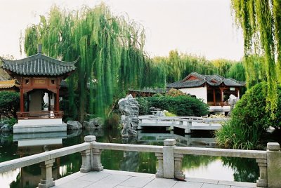 Chinese Garden 13