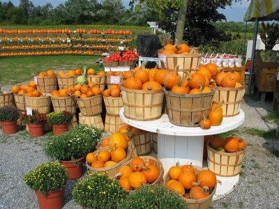 Fall Harvest Farm 2003