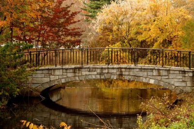 Fall Colors on Long Island