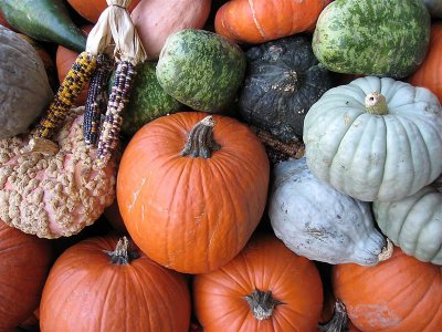 Pumpkins & Gourds