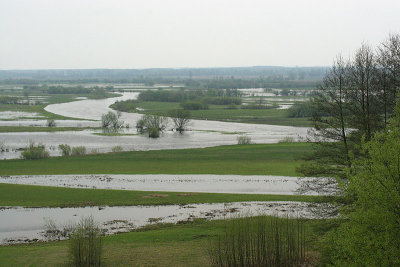 Biebrza and Narew conjunction
