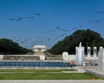 The World War II Memorial, Geese Incoming (DS029)