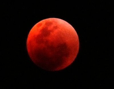 Moon Eclipse.jpg