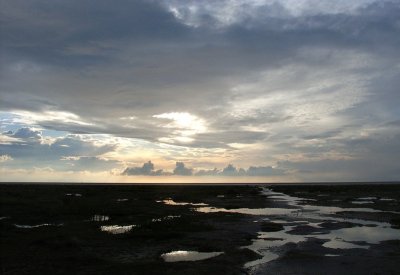Beach evening Schiermonnikoog.JPG