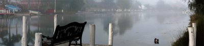 Morning mist lores.jpg