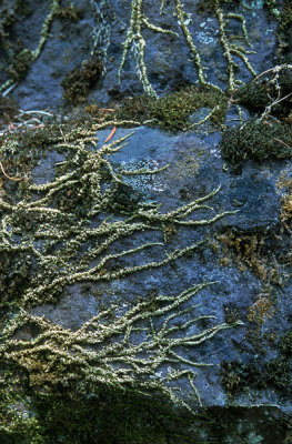 20030910_SCAN01.jpg