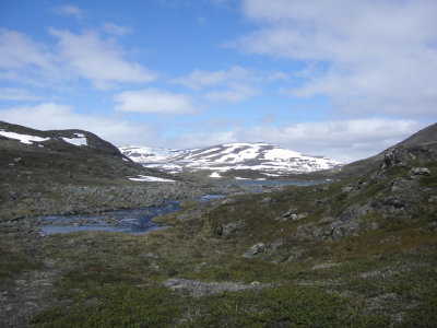 Lapland jun 2007