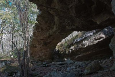 Alum Cove Natural Bridge