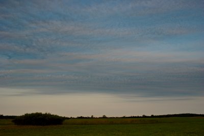 Flanagan Prairie