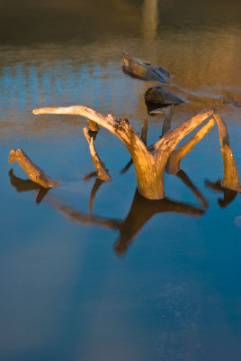 g6/99/787599/3/86442003.V6PxlhUM.jpg