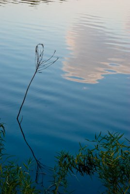 Reflections