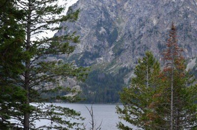 This photo was taken along the drive around the Cody dam area.  