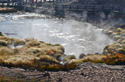 Always difficult to see in a picture but this entire pond is boiling. Horrible smell of sulfur.