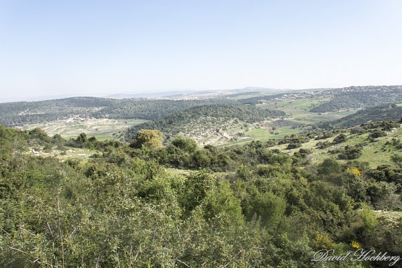 tal_DSC_1935s.jpg
