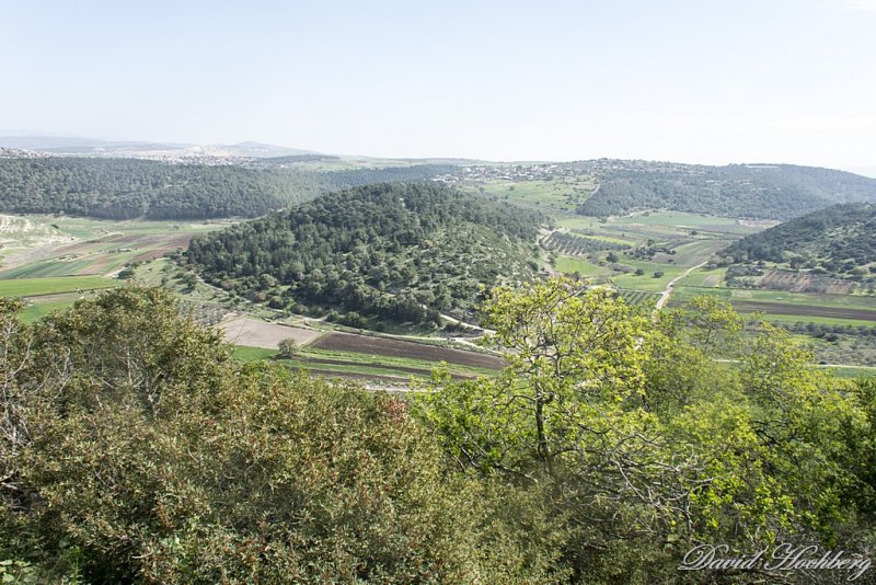 tal_DSC_1940s.jpg