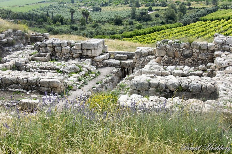 tal_DSC_2751s.jpg