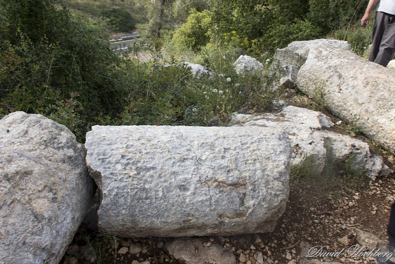 tal_DSC_2836s.jpg