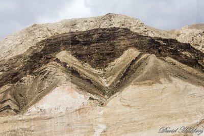 tal_DSC_1601s.jpg