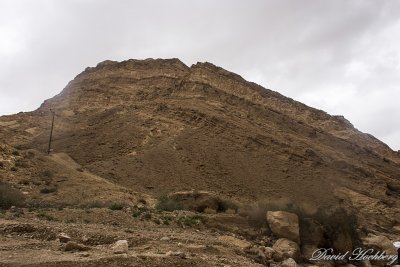 tal_DSC_1627s.jpg