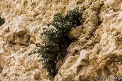 tal_DSC_1628s.jpg