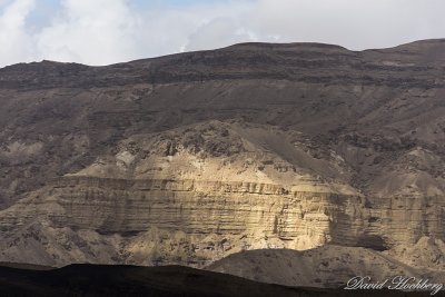 tal_DSC_1643s.jpg