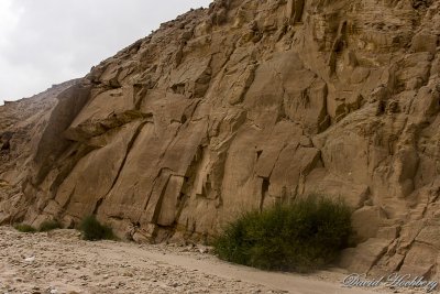 tal_DSC_1645s.jpg