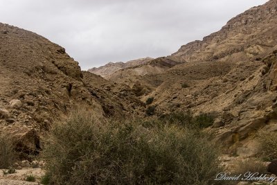 tal_DSC_1646s.jpg