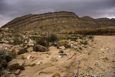 tal_DSC_1660s.jpg