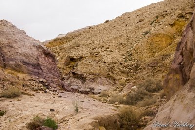 tal_DSC_1665s.jpg