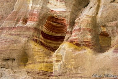 tal_DSC_1671s.jpg