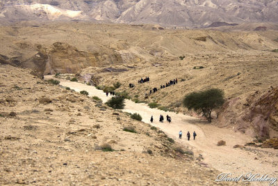 tal_DSC_1688s.jpg