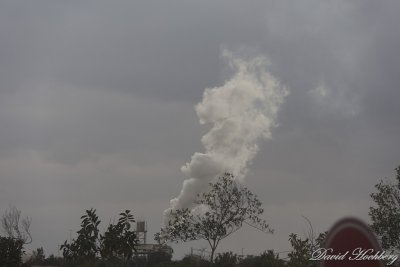 tal_DSC_1699s.jpg